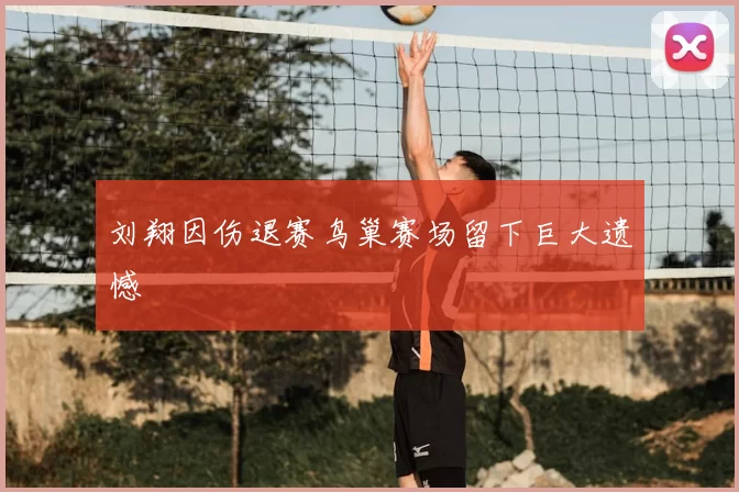 刘翔因伤退赛鸟巢赛场留下巨大遗憾