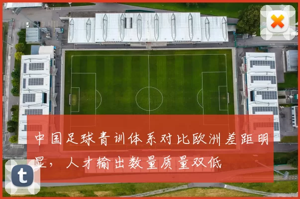 中国足球青训体系对比欧洲差距明显，人才输出数量质量双低