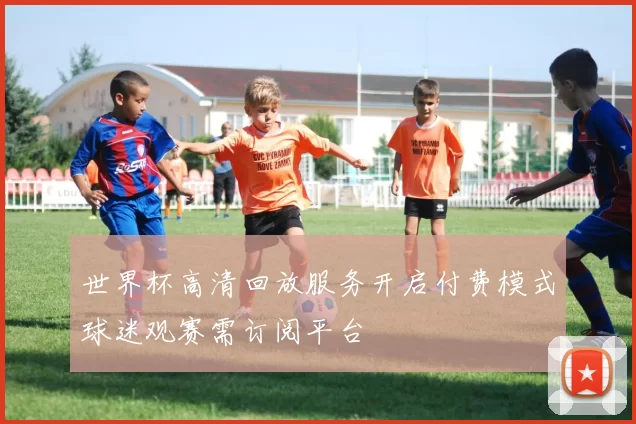 世界杯高清回放服务开启付费模式球迷观赛需订阅平台
